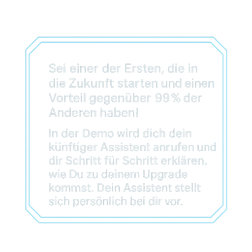 Demo-Info